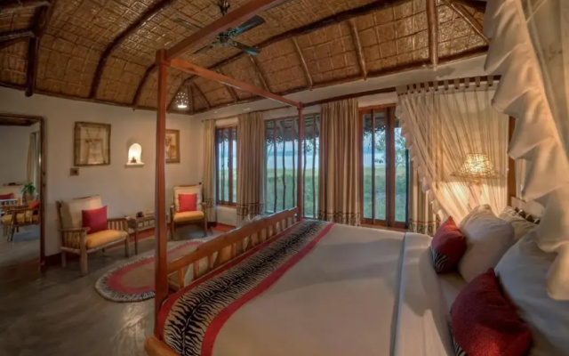 Evolve Back, Kabini