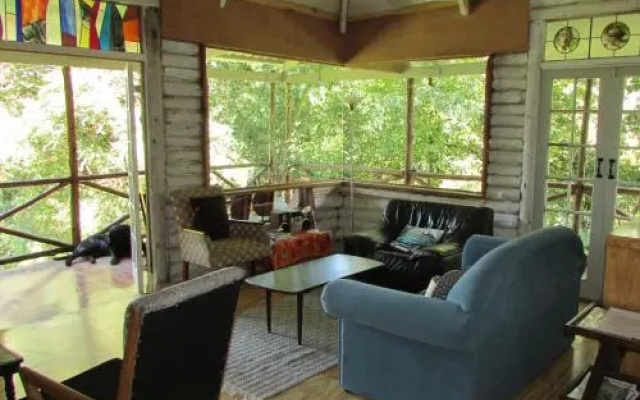 Old Pine Cabin