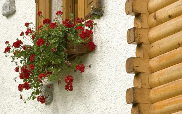 Holiday House Sobol