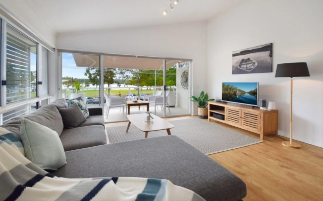 Noosa River Palms