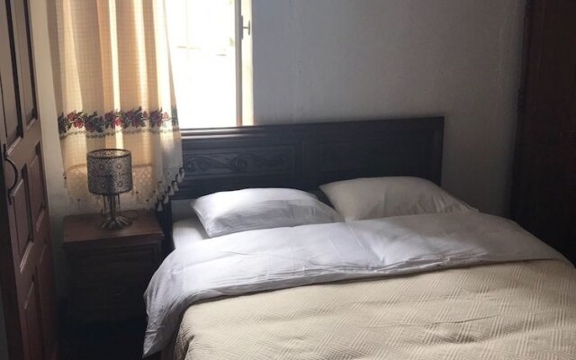 Palm Garden Guest House in Nicosia, Cyprus from 121$, photos, reviews - zenhotels.com