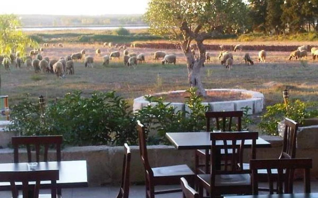Agriturismo Podere San Michele
