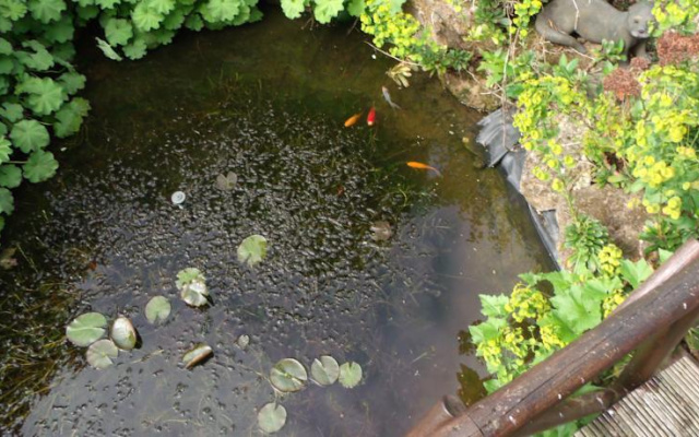Acers Serviced Accommodation
