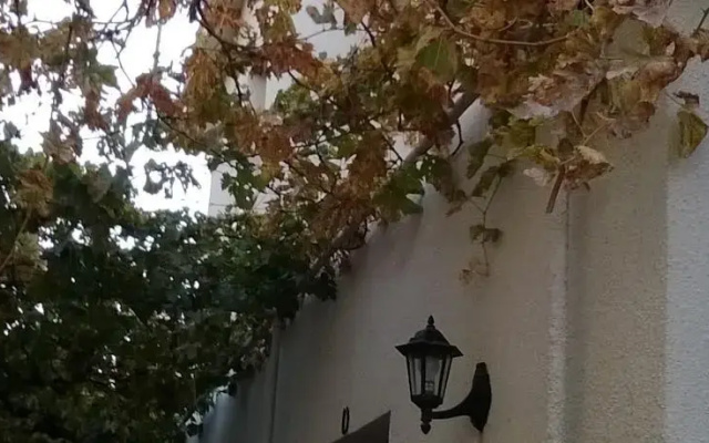 Orange Tree House