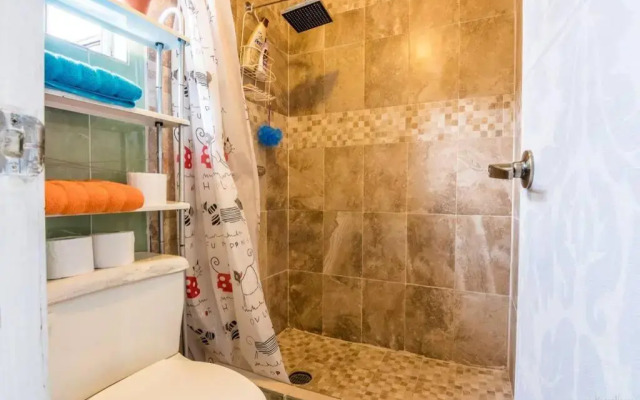 Nice full apartment, downtown on foot
