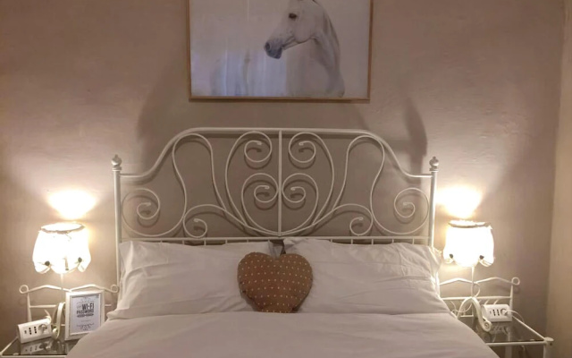 Biscuit B&B