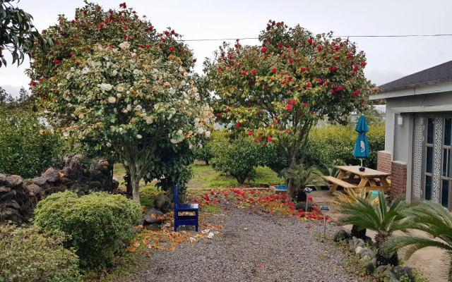jeju jihone minbak dokche pension