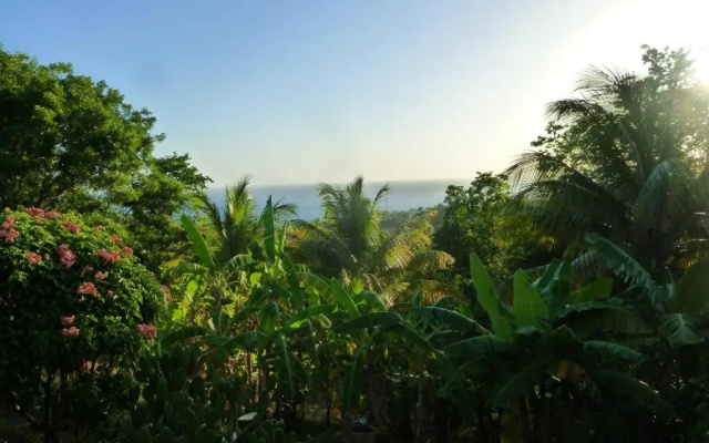 Les jardins de Cousinière