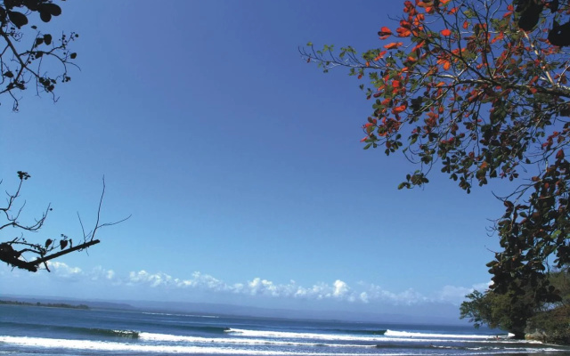 Javacove Beach