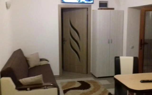 Apartament central V&P