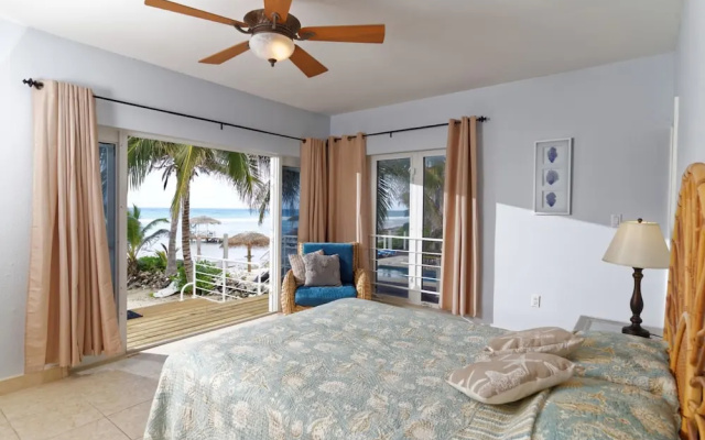 Beach Plum Villa (Villa)