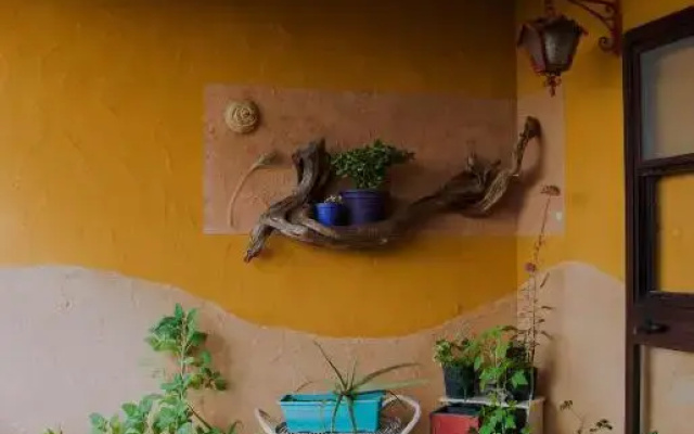 Terra e Paglia