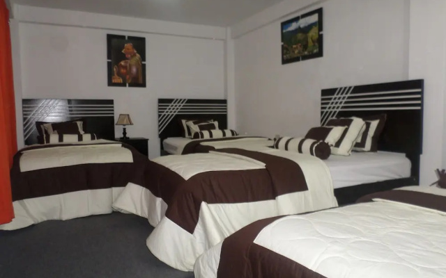 Gran Paititi Hostal