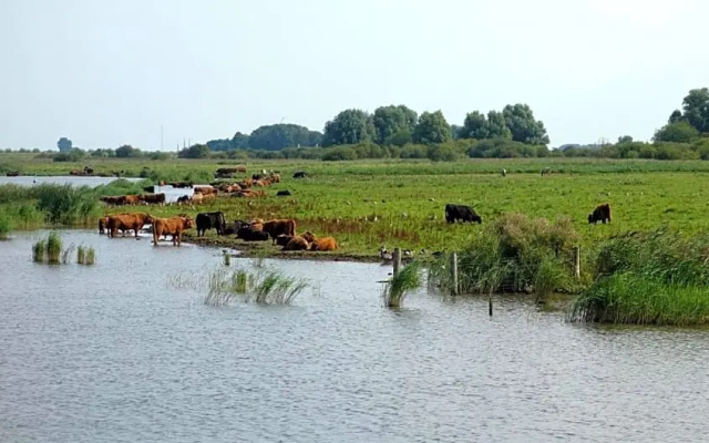 B&B De nieuwendijk