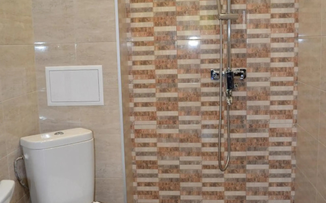 Central Apartment 4