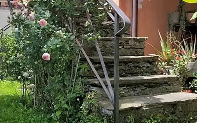 Pin de stèlle