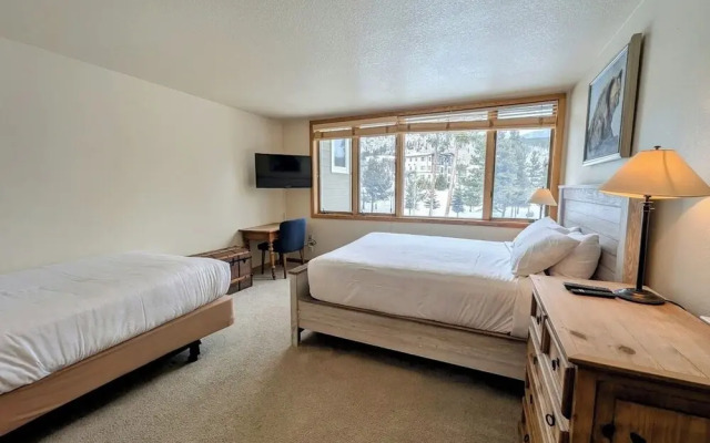 Pines 2167