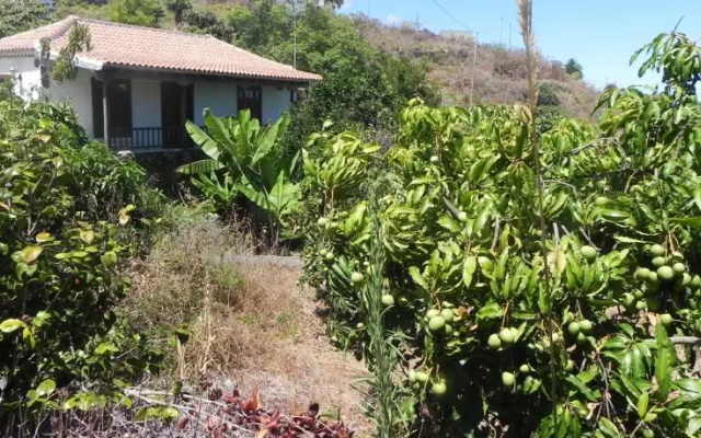 Holiday home Sitio La Vieja