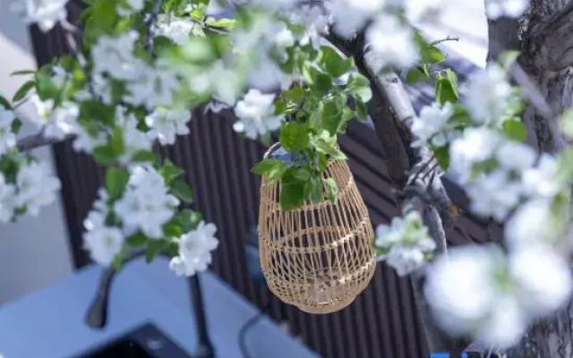 Xinyuan Shuaifu Farmhouse Restaurant