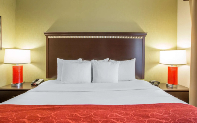 Comfort Suites Locust Grove Atlanta South