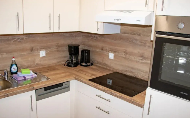 Lovely Apartment in Breitenbrunn With Shared Sauna