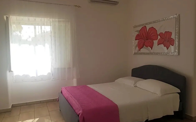 B&B La pineta