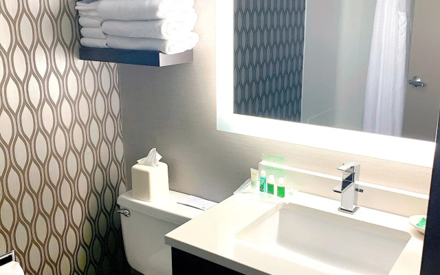 Holiday Inn St. Paul Downtown by IHG