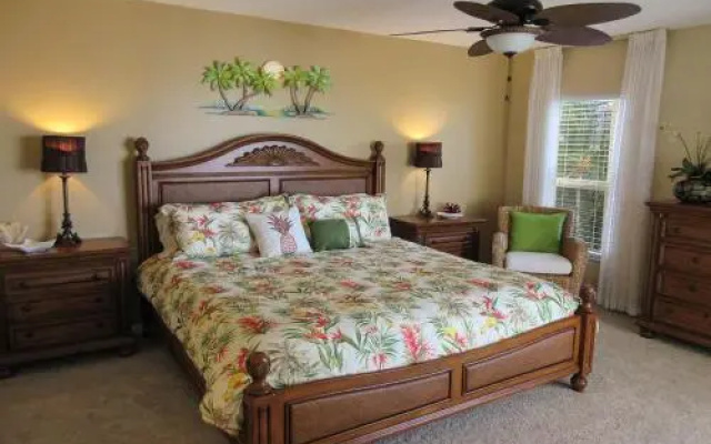 Island Reef 504