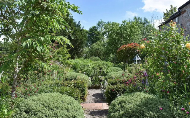 Yew Tree