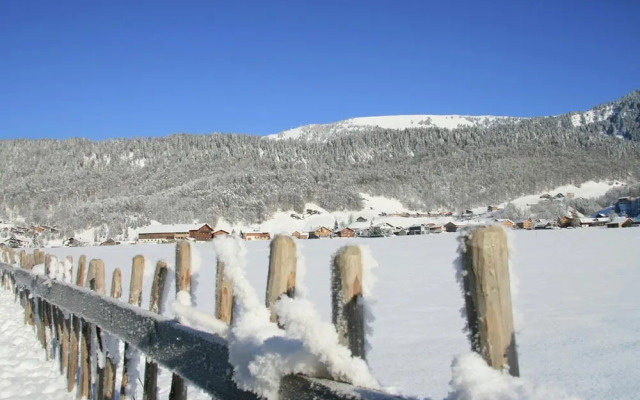 Chalet in Sibratsgfall Near Ski Slopes