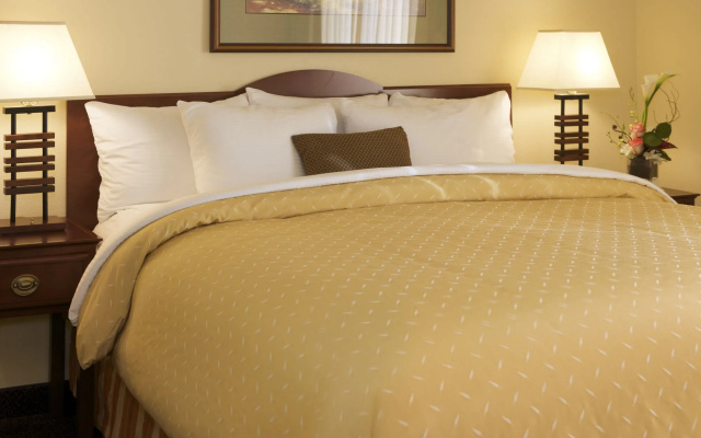 Larkspur Landing Extended Stay Suites Bellevue