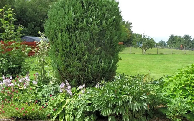 Ordieview Bed And Breakfast