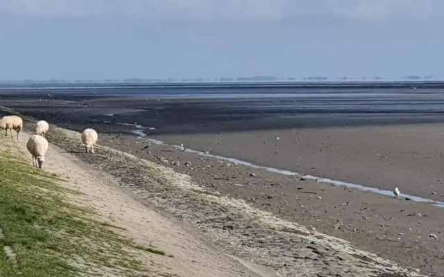 FeWo mit Meerblick - Direktzugang zur Nordsee