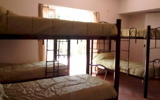 Gorilla - Hostel