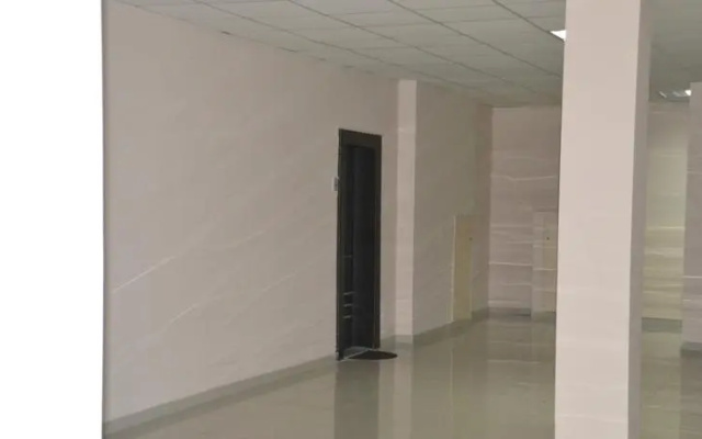 Apartment Rustaveli
