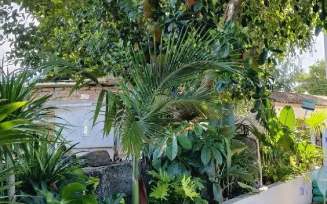 Bailuyuan B&B (Shell Beach)