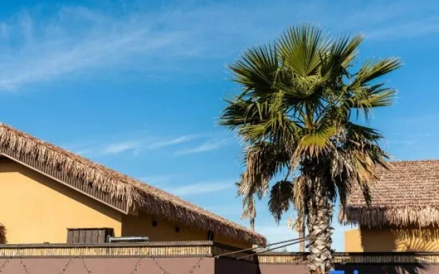 Ballena Resort