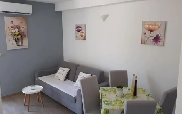 Apartments Šišević