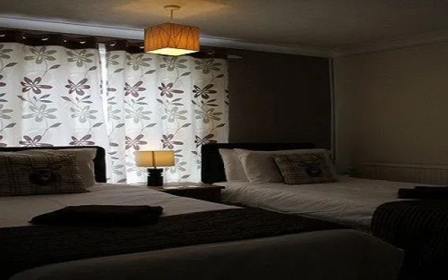 The Elmfield