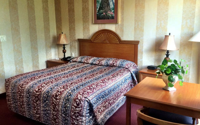 Amsterdam Hotel