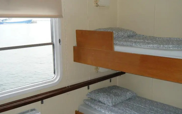 Pepperland Hostel