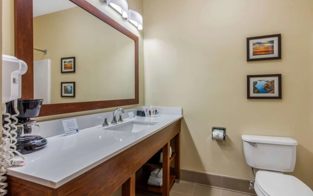 Comfort Inn & Suites McComb