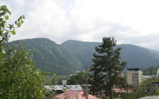 Luxury Apartment at Pirosmani 22 in central Borjomi