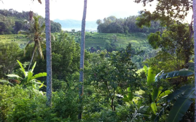 Pondok Alam Bukit