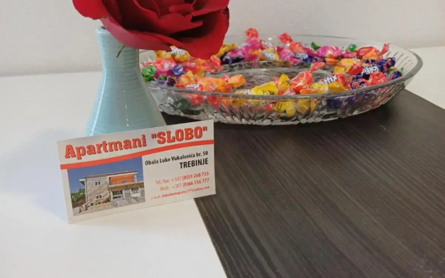Apartment Slobo 1