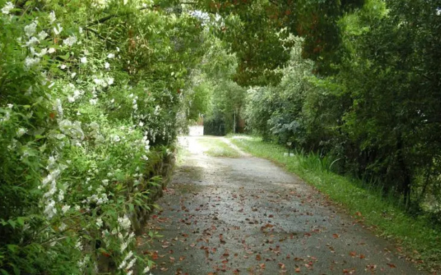 Colleionci