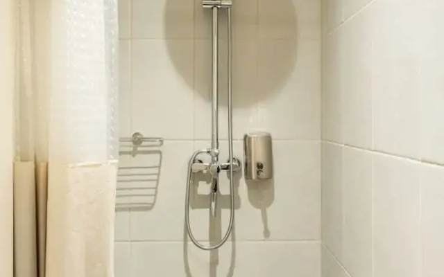 Elysee apartment 7