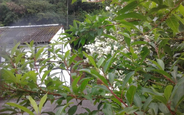 Le Néblon insolite