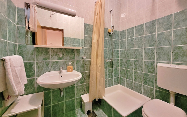 Apartment Ivo