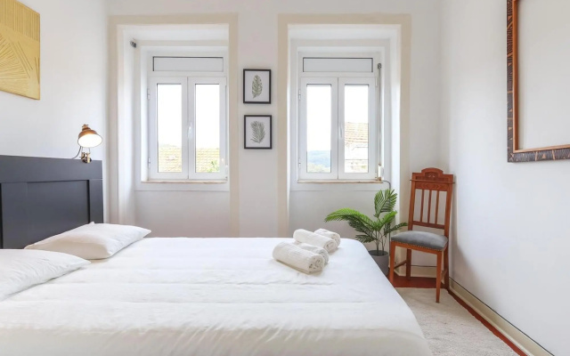 Vita Portucale | Design Apartment Campo Ourique